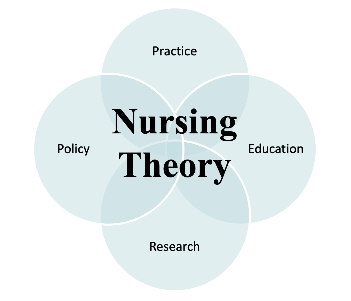 Examples of Borrowed Theories in Nursing